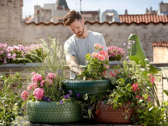 a man gardening